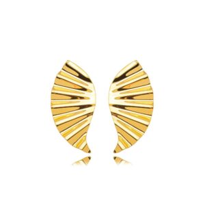 BRINCO DOURADO ASA GRANDE LISA
